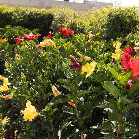 Hospedaje El Girasol Tababela Quito Ngoại thất bức ảnh