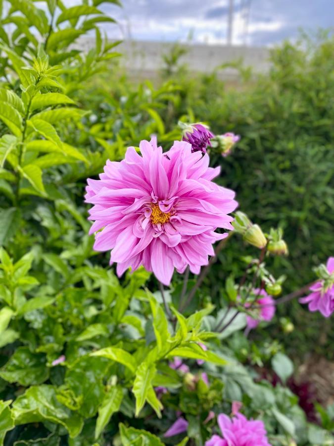 Hospedaje El Girasol Tababela Quito Ngoại thất bức ảnh